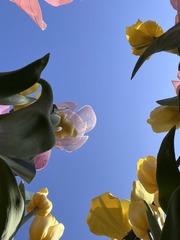 136D97FD-4CB6-4966-A7D0-475080DEA047/L0/001