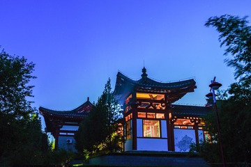 7C99B11B-E966-4120-A67D-0A161AA4AC17/L0/001