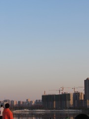 1022117
