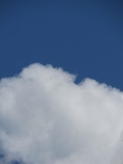 1094042