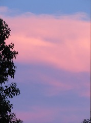 1094052
