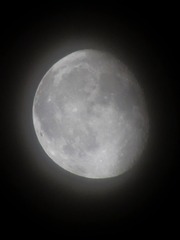 1094014