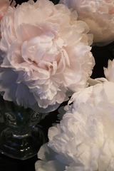 60840602-8FAA-4A64-A63A-325FF7167772/L0/001