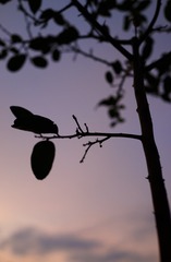 E74B6FE7-07F0-4B33-978E-D4F676F66440/L0/001