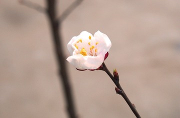 P3190355