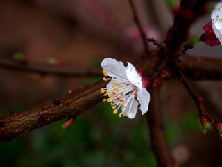 P3230377_