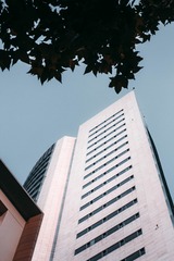 1000079667