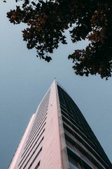 1000079669