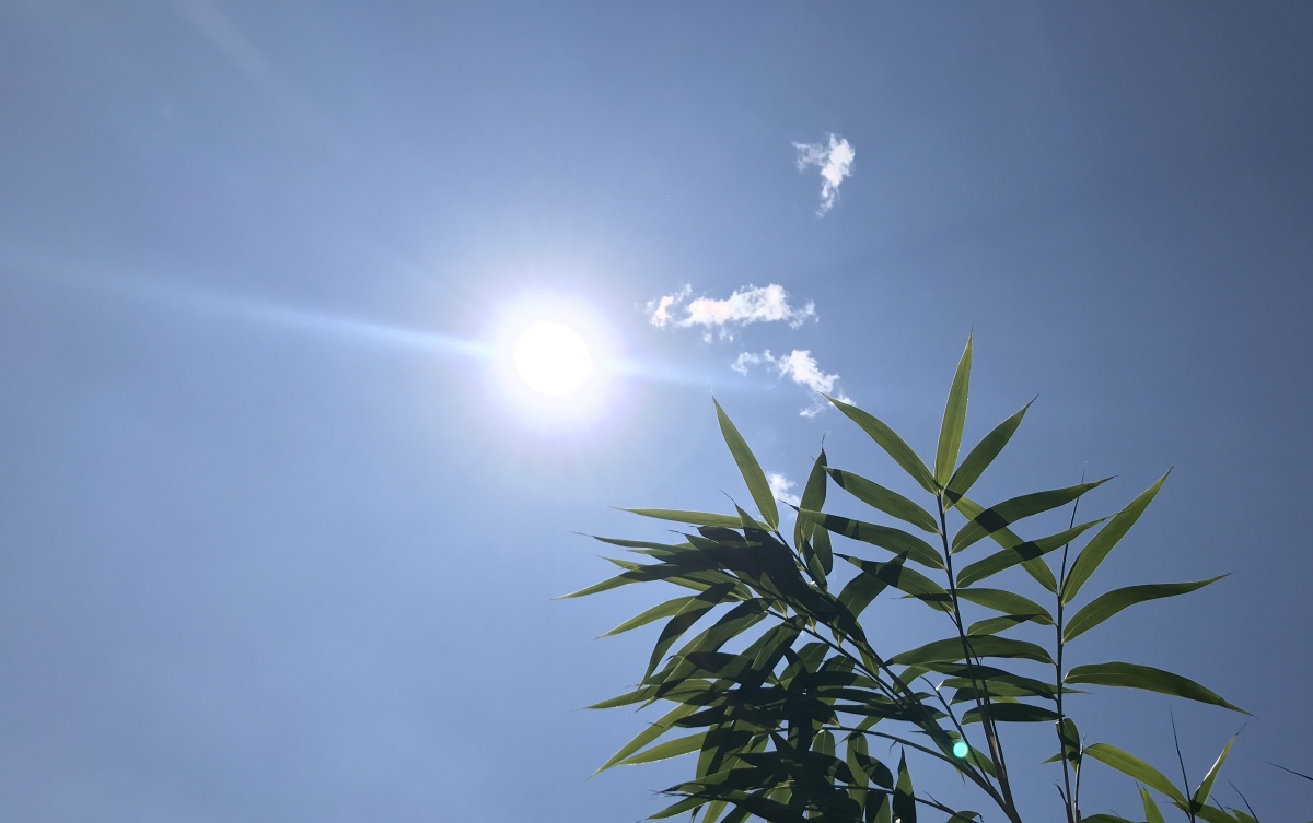 偷一片蓝天藏一朵白云