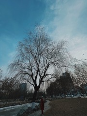 84BFE5E4-6C72-4AB6-9A6A-B4AAA2914903/L0/001