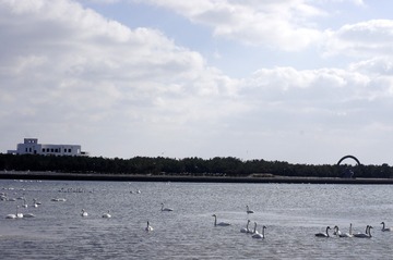 _DSC3320_conew1