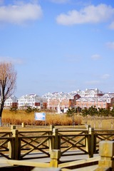 _DSC3330_conew1