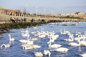 _DSC3345_conew1