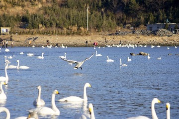 _DSC3362_conew1