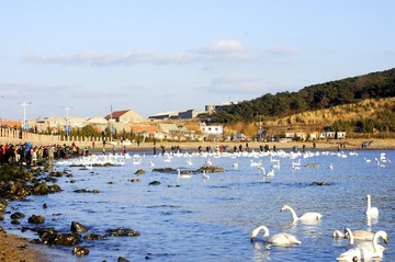 _DSC3374_conew1