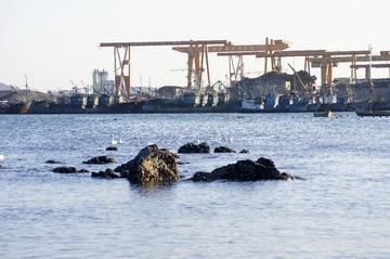 _DSC3380_conew1