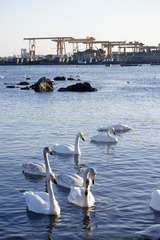 _DSC3381_conew1