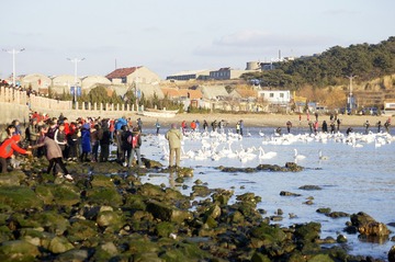 _DSC3382_conew1