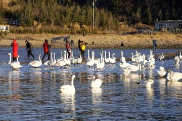 _DSC3389_conew1