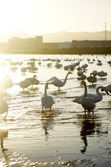 _DSC3409_conew1