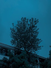 E1783B74-71DF-4CF3-A681-6B528E1EF96D/L0/001