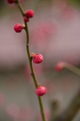 513EB446-FD43-4A4F-BD72-5276288ACD46/L0/001