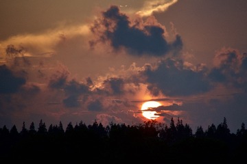 D2347193-DDEC-4C55-9BBB-633E2D393135/L0/001