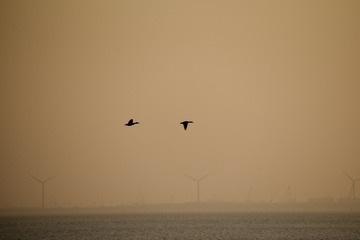 1F34A1E7-D737-4658-9935-AEB25F16AC35/L0/001