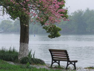 B4793488-0C55-48CD-998A-042E2C01DA00/L0/001