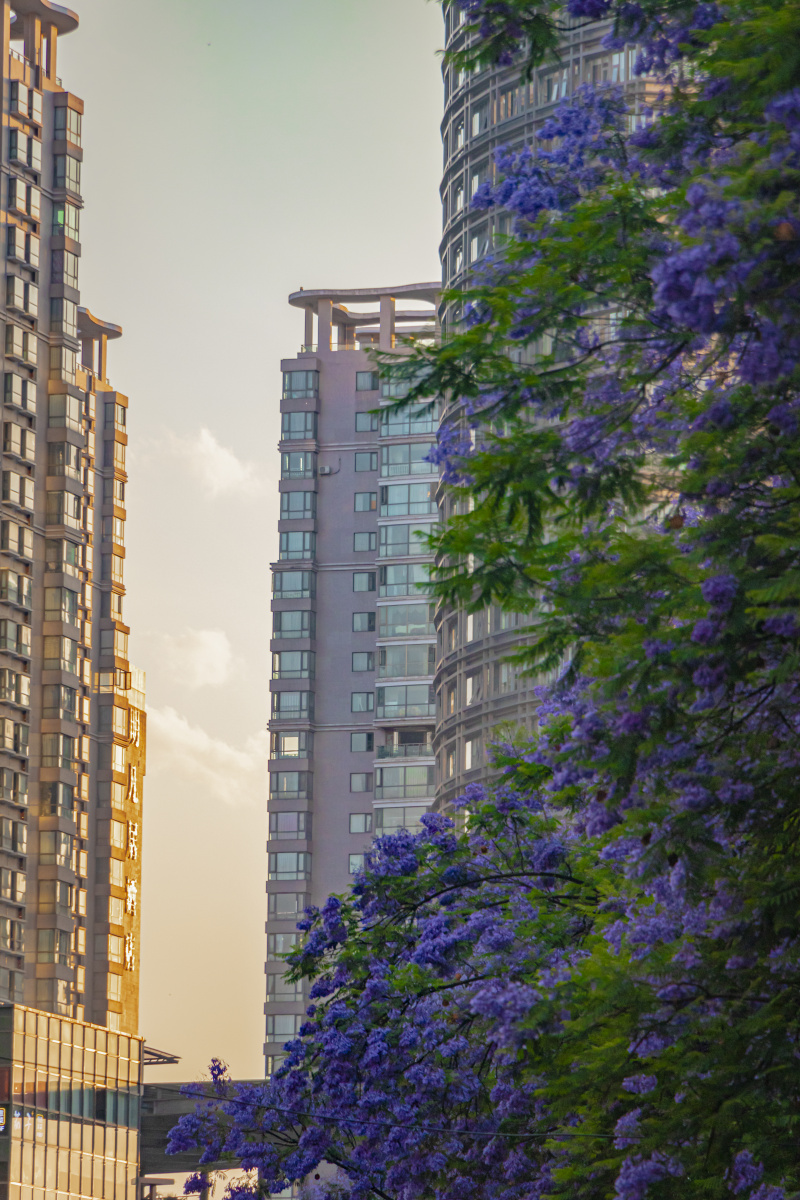 昆明南屏街的街道风景