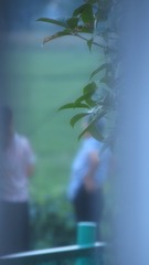 CBE0CEC2-9DC3-460F-B1BF-143EA5C67835/L0/001