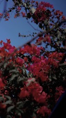 64494691-343F-4CA3-AEDB-3B609AA7A8F5/L0/001