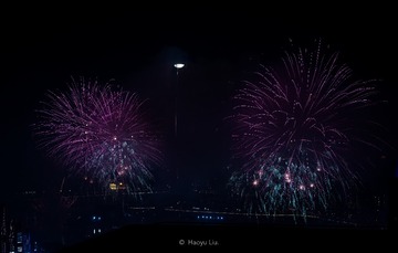 2651860