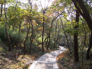 栖霞山道