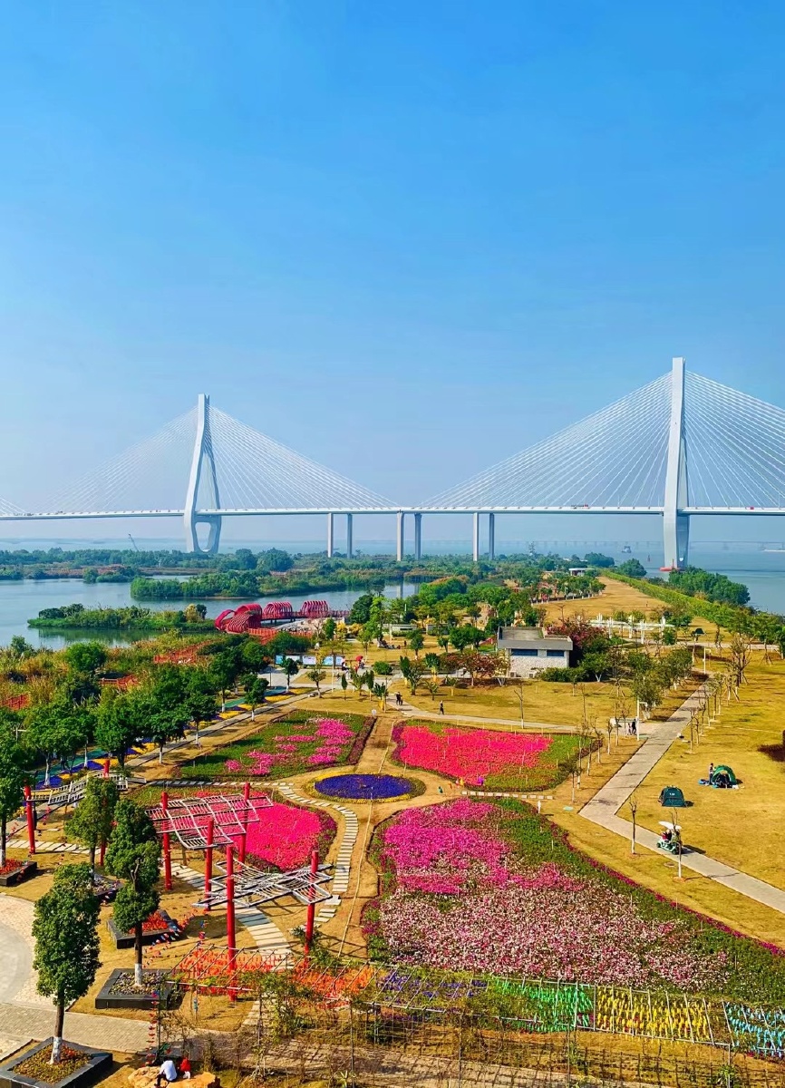 珠海横琴湿地公园