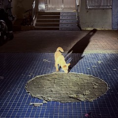 001