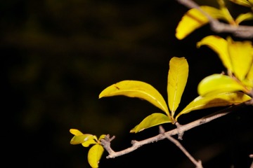 6B3D9CAC-0FD4-47C9-8126-C4947E885F00/L0/001