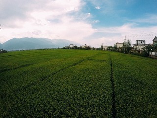 GOPR0838