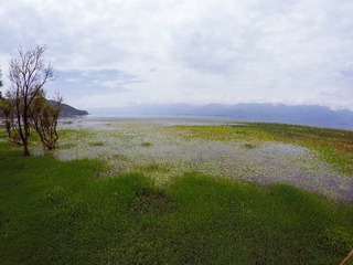 GOPR0964