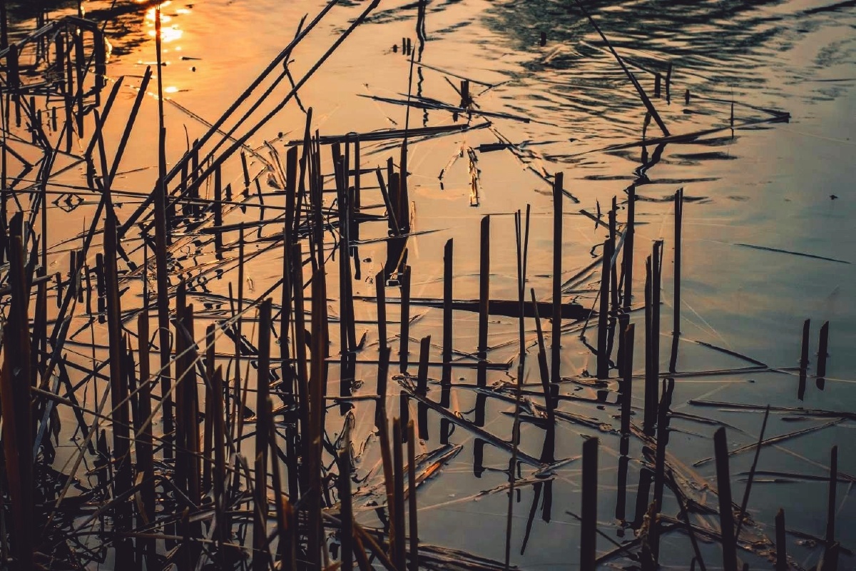 落日映在河面上