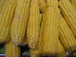 E7770207-C7AB-4AA7-B42D-1A99FB94E117/L0/001