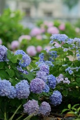 A28B543D-80D5-4B47-8EE3-F2AA96771C34/L0/001