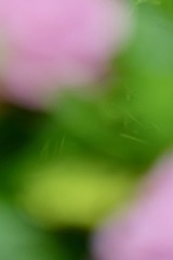 857A9236-68C5-41EC-82A4-58DD8144FBCB/L0/001