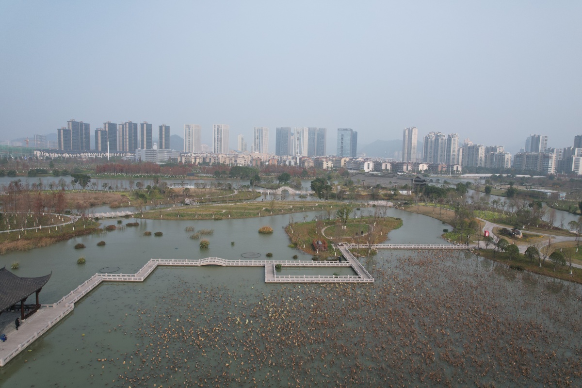 温岭九龙湖生态湿地公园