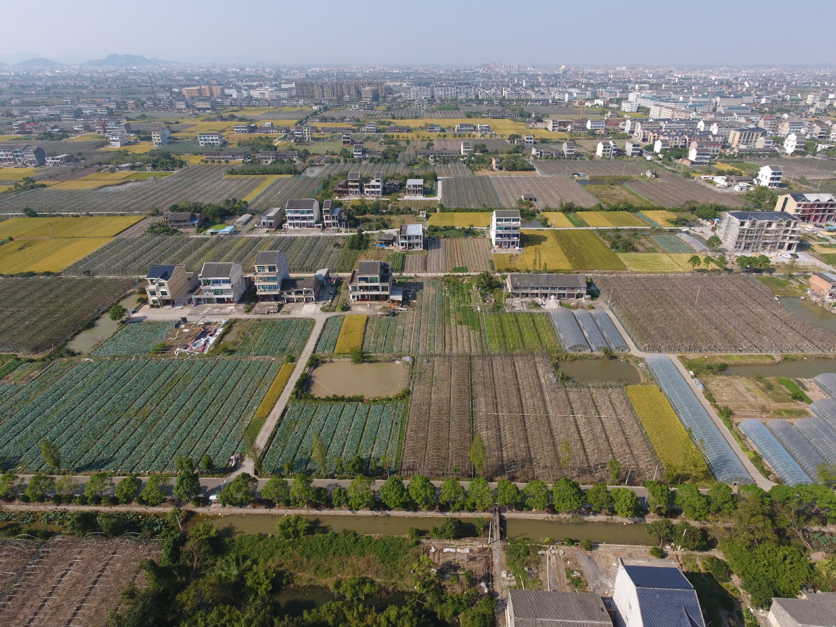 渌口区朱亭浦湾苗木基地
