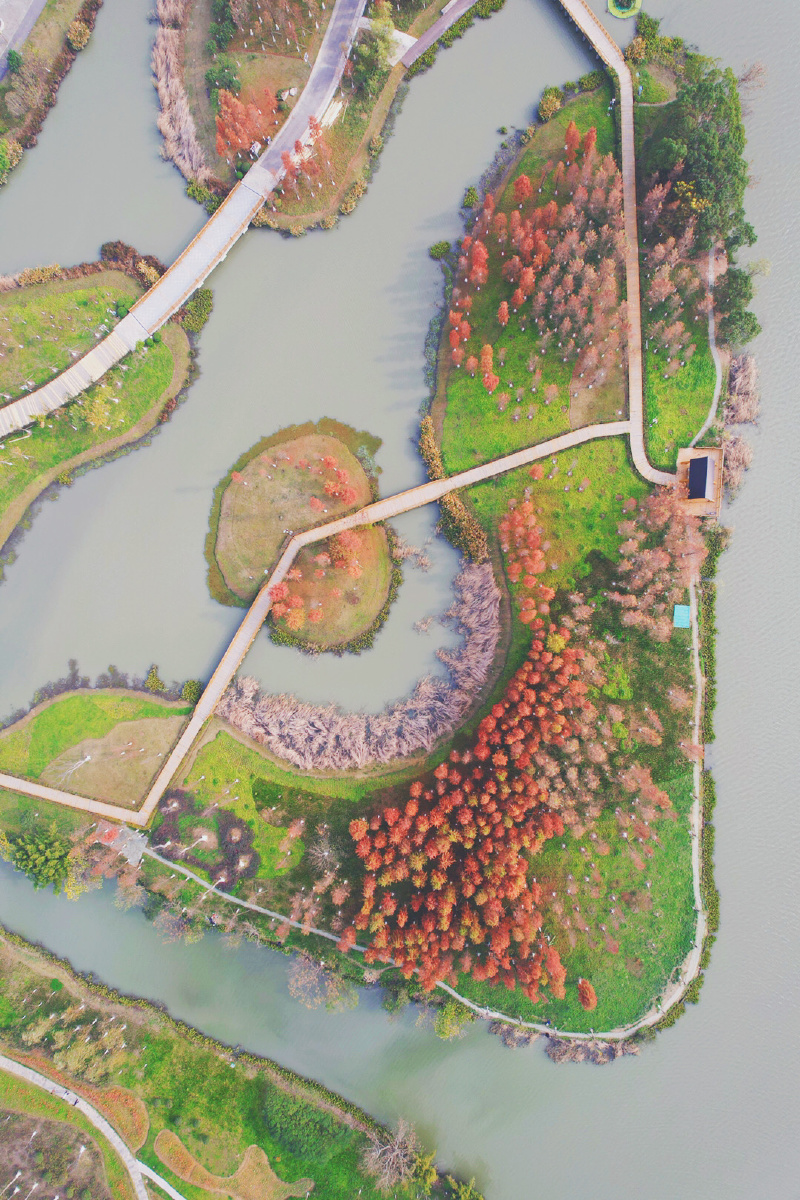 温岭九龙湖生态湿地公园