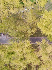 C3006FE1-50D0-49F7-8668-45104BB63D59/L0/001