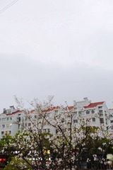 4D5148A5-D629-47AA-AB14-DA59279AECBE/L0/001