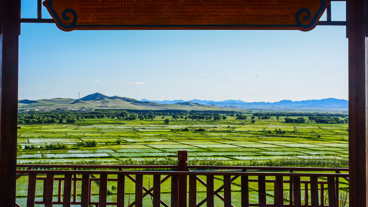 魅力兴安盟科右中旗万亩稻田