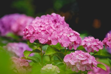60AACB4B-5D05-4625-9A9C-D2B11C1B9BD5/L0/001